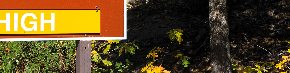 Wooded area susceptible to fire